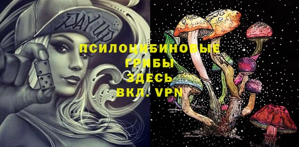 твердый Михайловск