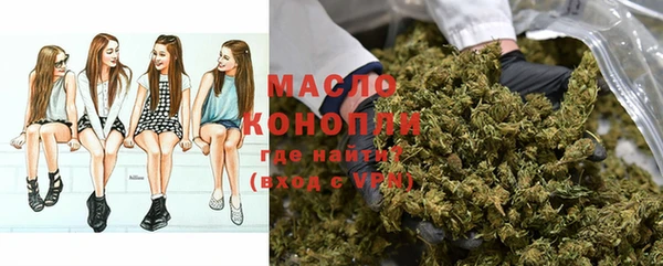 твердый Михайловск