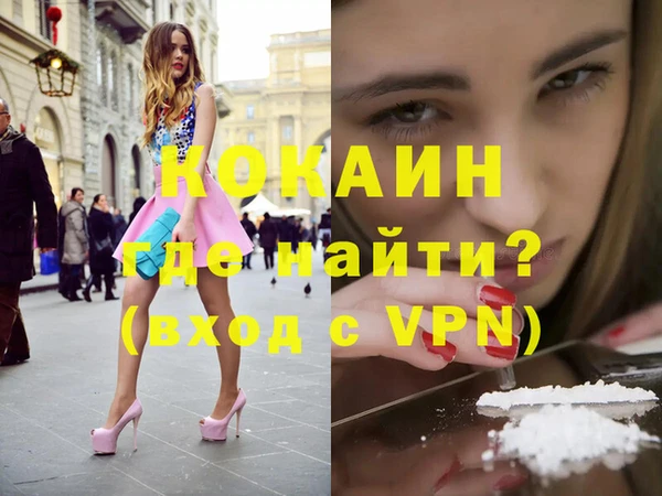 твердый Михайловск