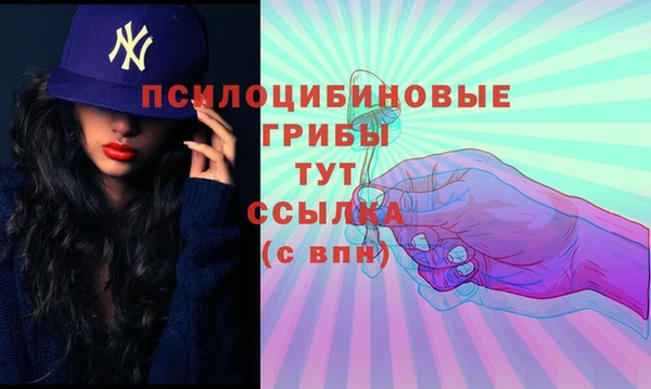 соль ск Михайловка